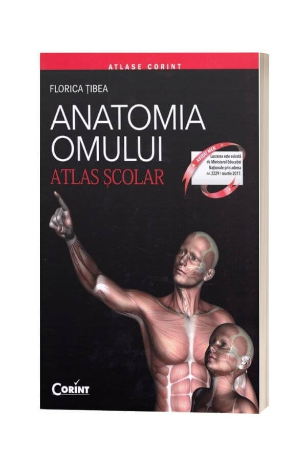 Anatomia omului - Atlas Scolar - Florica Tibea Anatomia omului - Atlas Scolar - Florica Tibea