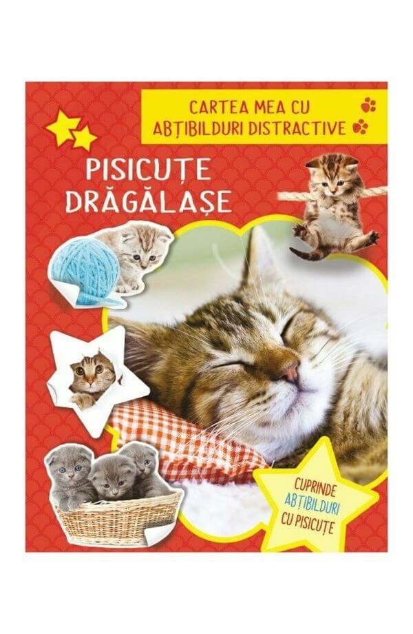Pisicute dragalase Pisicute dragalase