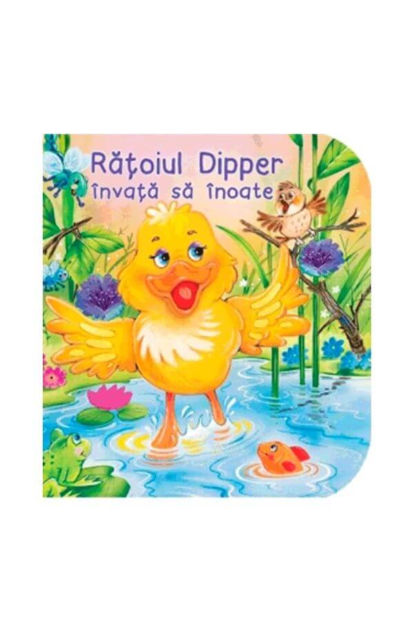 Ratoiul Dipper invata sa inoate Ratoiul Dipper invata sa inoate