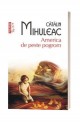 America de peste program - Catalin Mihuleac America de peste program - Catalin Mihuleac