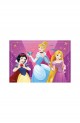 Puzzle - PRINTESE CURAJOASE 24 PCS Puzzle - PRINTESE CURAJOASE 24 PCS
